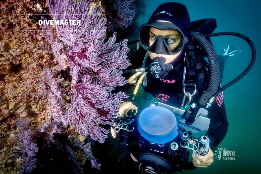 PADI Divemaster Koh Samui