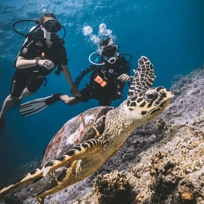 diving-koh-tao-island-koh-samui