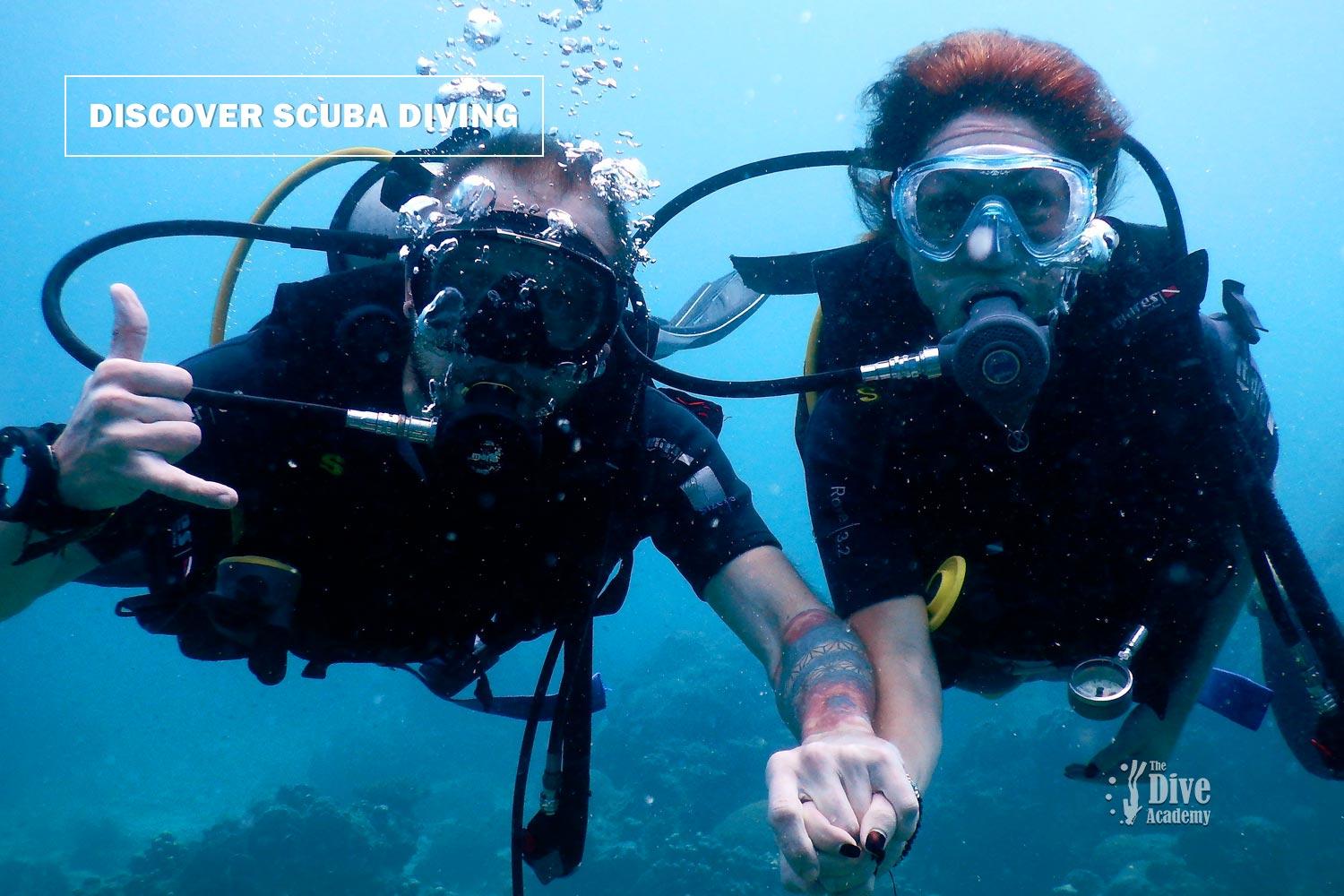 Discover Scuba Diving Koh Samui