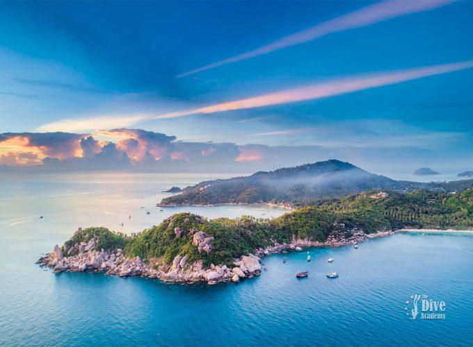 Dive Tour Koh Tao Featured