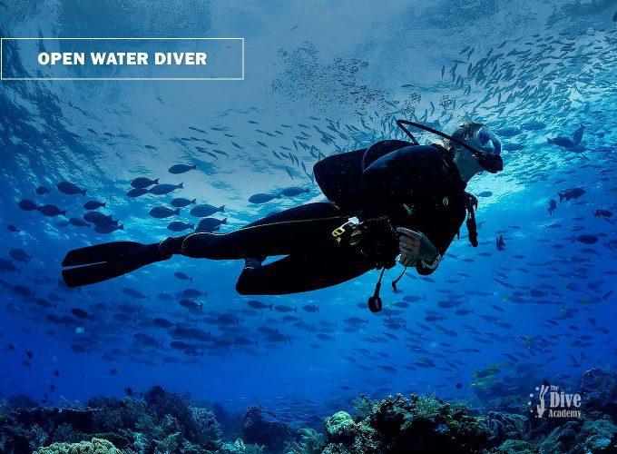 Open Water Diver eLearning Course